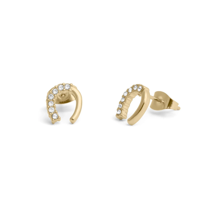 Horse Shoe Stone Earrings
