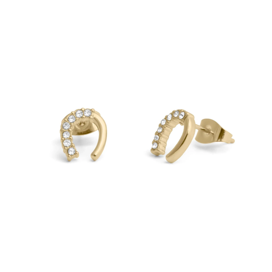 Horse Shoe Stone Earrings