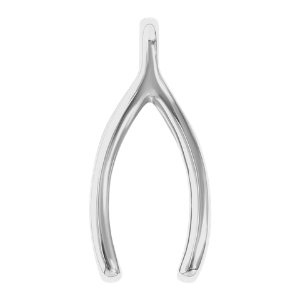 Wishbone Charm