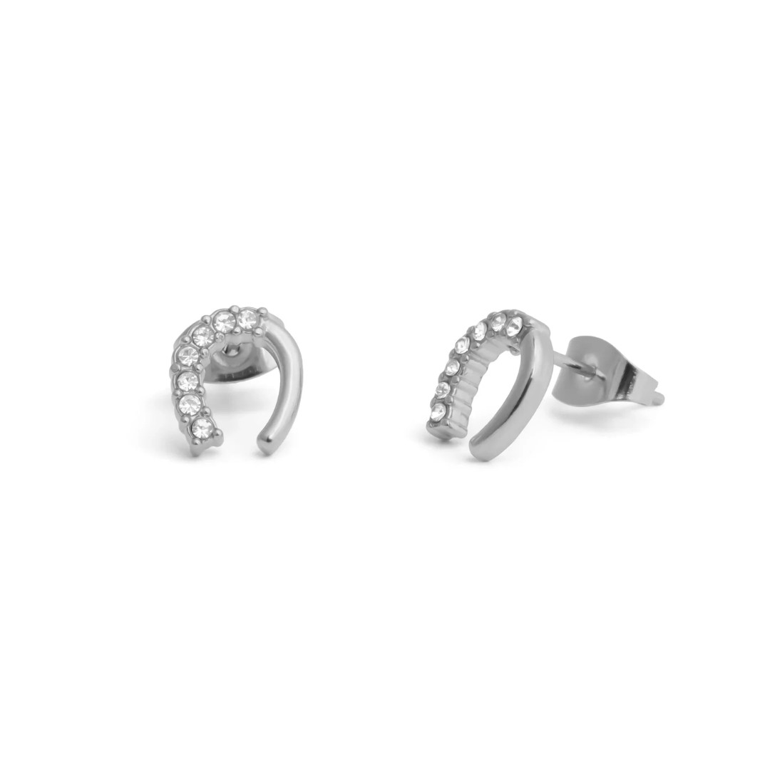 Horse Shoe Stone Earrings