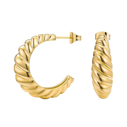 Sculpted Twist Hoops Earrings